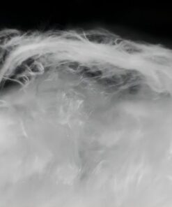 Bông gốm Alumina – Vật liệu cách nhiệt siêu chịu lửa cho công nghiệp hiện đại