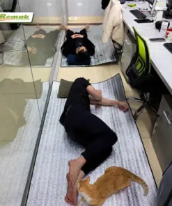 Chiếu ngủ văn phòng