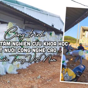 Cách nhiệt Trung tâm NCKH vật nuôi miền Trung bằng Bông thủy tinh Remak