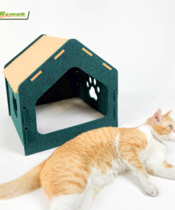 Nha-cho-meo-sonic (3)