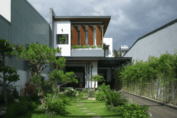 trồng cây quanh nhà